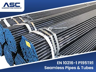 EN 10216-1 P195TR1 Seamless Pipes & Tubes
